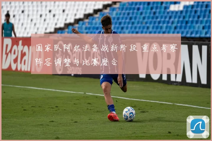 国家队阿尔法备战新阶段 重点考察阵容调整与比赛磨合