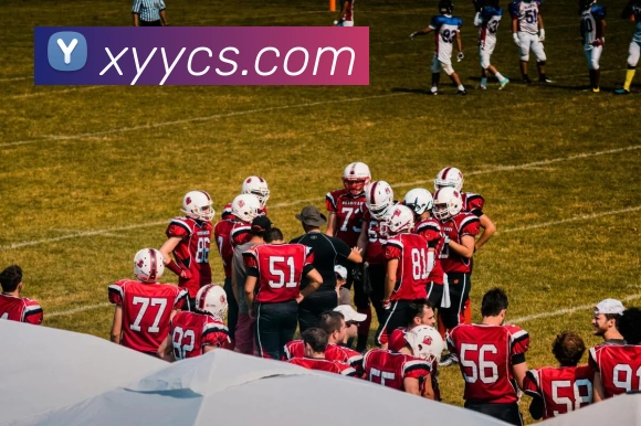 滚球官网app(中国)有限公司 - 官网平台生态图