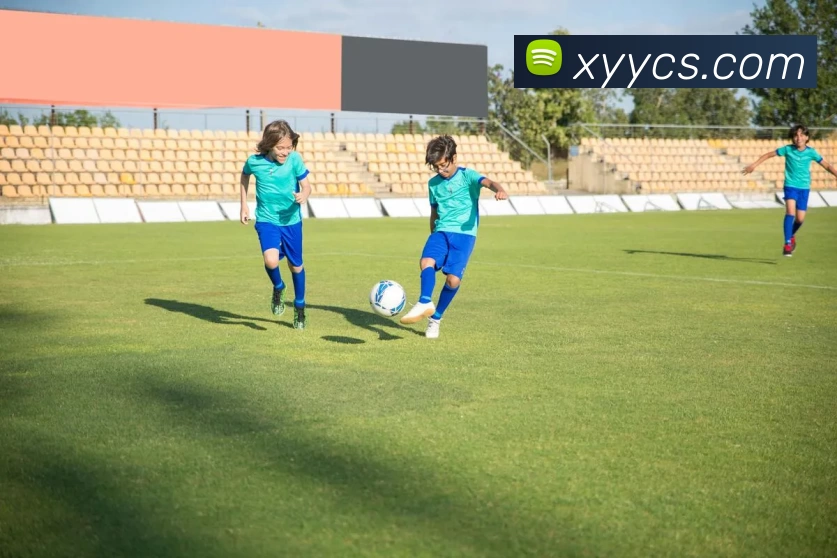 滚球官网app(中国)有限公司 - 官网APP 封面图